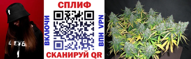 Какие есть наркотики Печоры ГАШИШ  COCAIN  Амфетамин  Мефедрон 