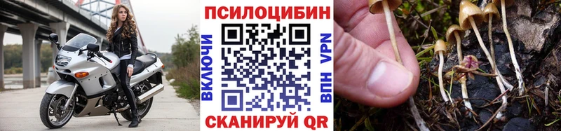 купить наркотики сайты  Печоры  Псилоцибиновые грибы Psilocybe 